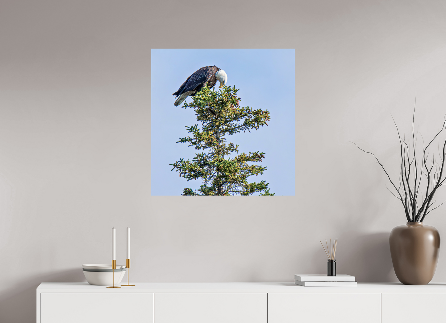 Silent Sentinel – Bald Eagle in Alaska’s Pines Nature Photography Print
