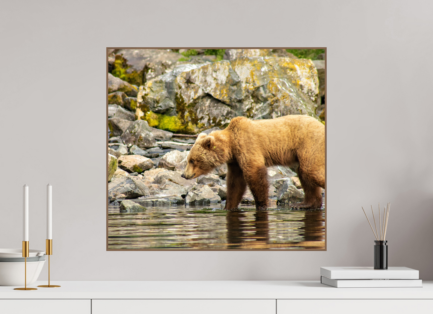 Looking for Dinner Nature Photography Print