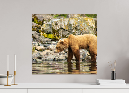 Looking for Dinner Nature Photography Print