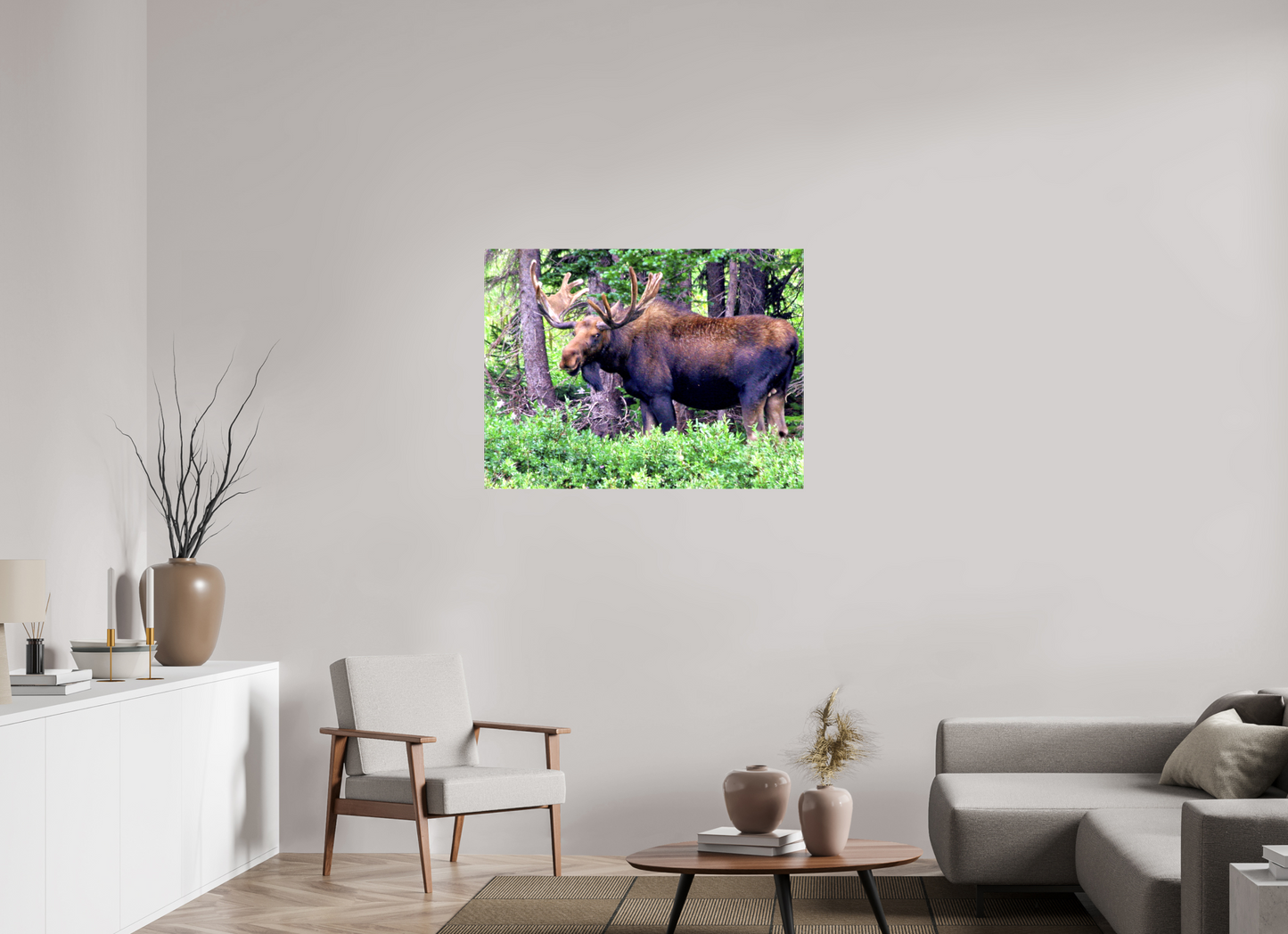 Watchful Moose - Fine Art Wildlife Print