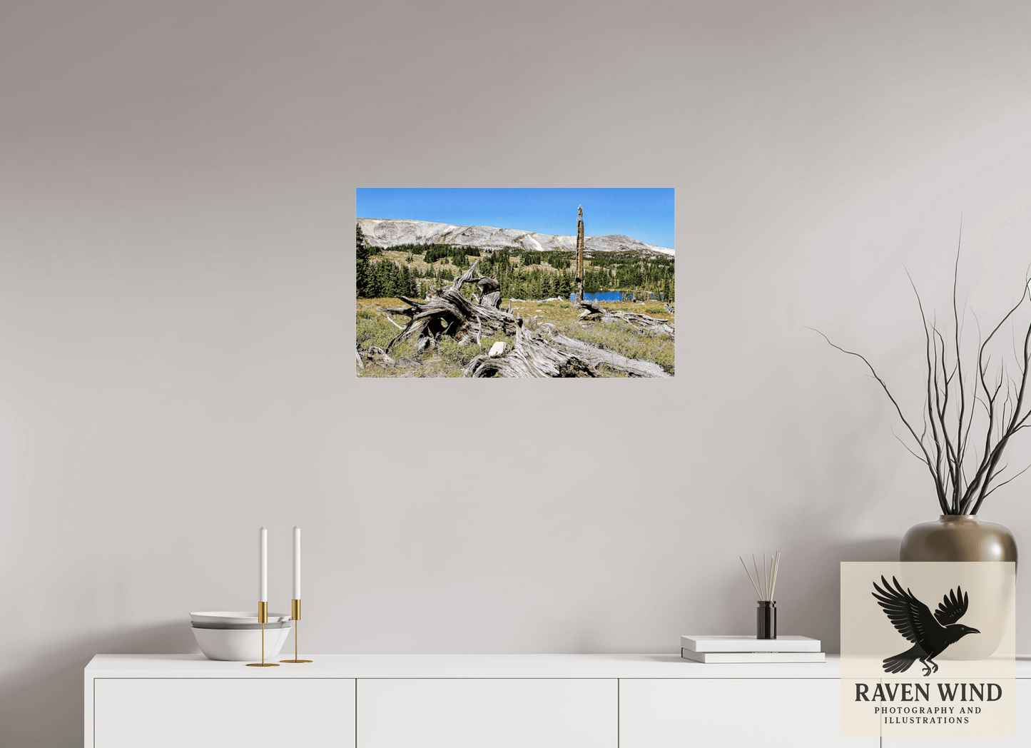 26.8 x 16″, Photo Print Under Acrylic Glass - ready to hang Standing Bear Tree - Bear Lake, Colorado Nature Photography Print