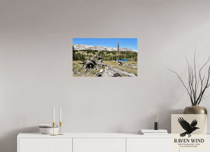 26.8 x 16″, Photo Print Under Acrylic Glass - ready to hang Standing Bear Tree - Bear Lake, Colorado Nature Photography Print