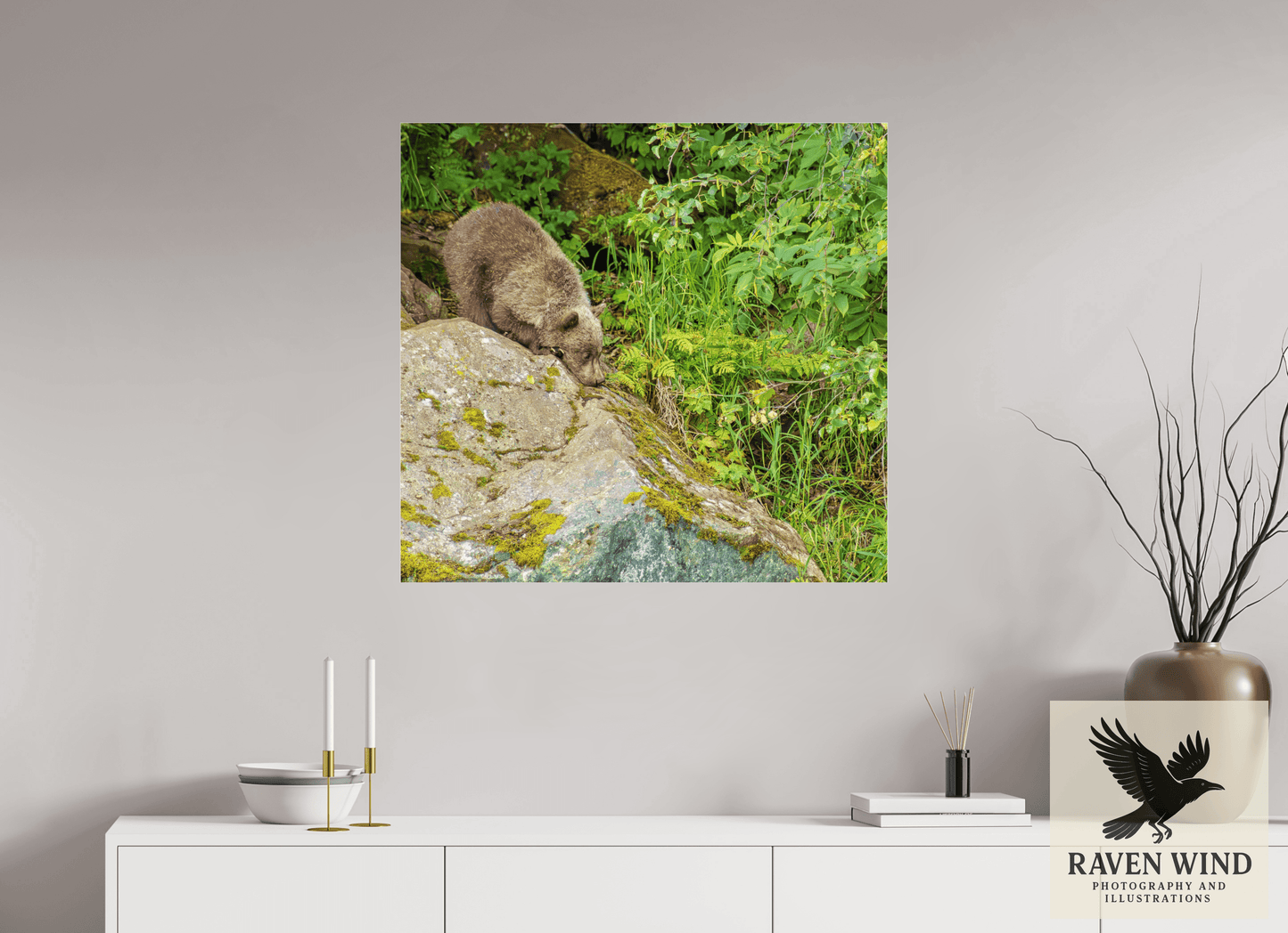 32.8 x 31″, Photo Print Under Acrylic Glass - ready to hang Learning the Ropes Nature Photography Print