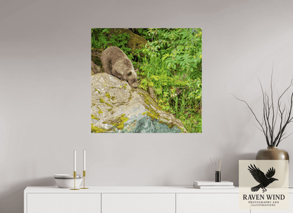 32.8 x 31″, Photo Print Under Acrylic Glass - ready to hang Learning the Ropes Nature Photography Print