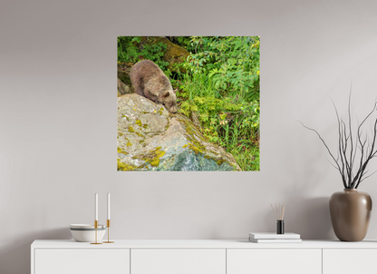 Learning the Ropes Nature Photography Print
