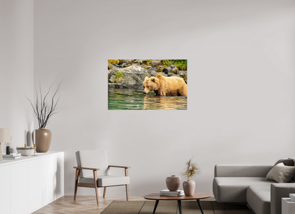 Wild Focus Nature Photography Print