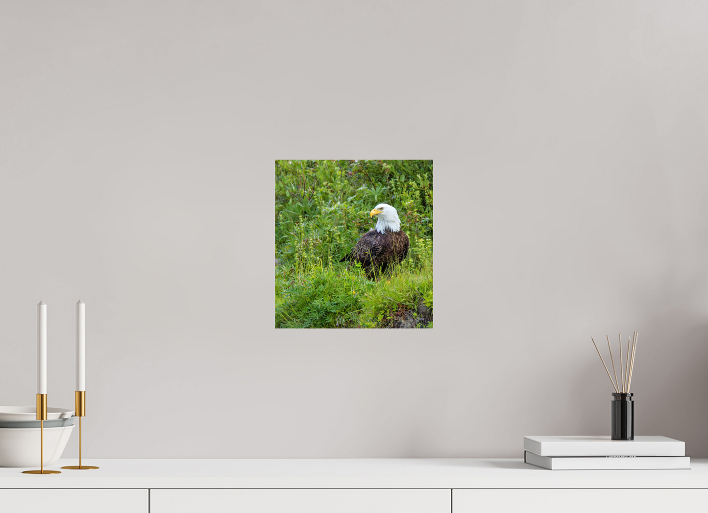 Grounded Majesty – Bald Eagle in Alaska’s Wilderness Nature Photography Print