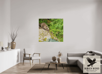 49.7 x 47″, Photo Print On Fuji Crystal DP II - unframed Learning the Ropes Nature Photography Print