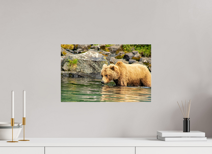 Wild Focus Nature Photography Print