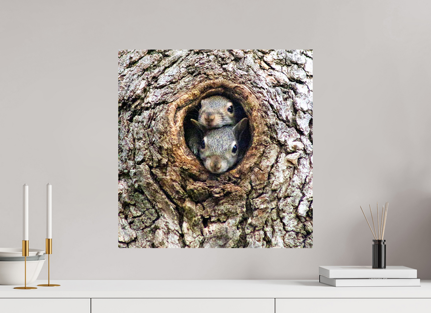 Curious Peek Nature Photography Print