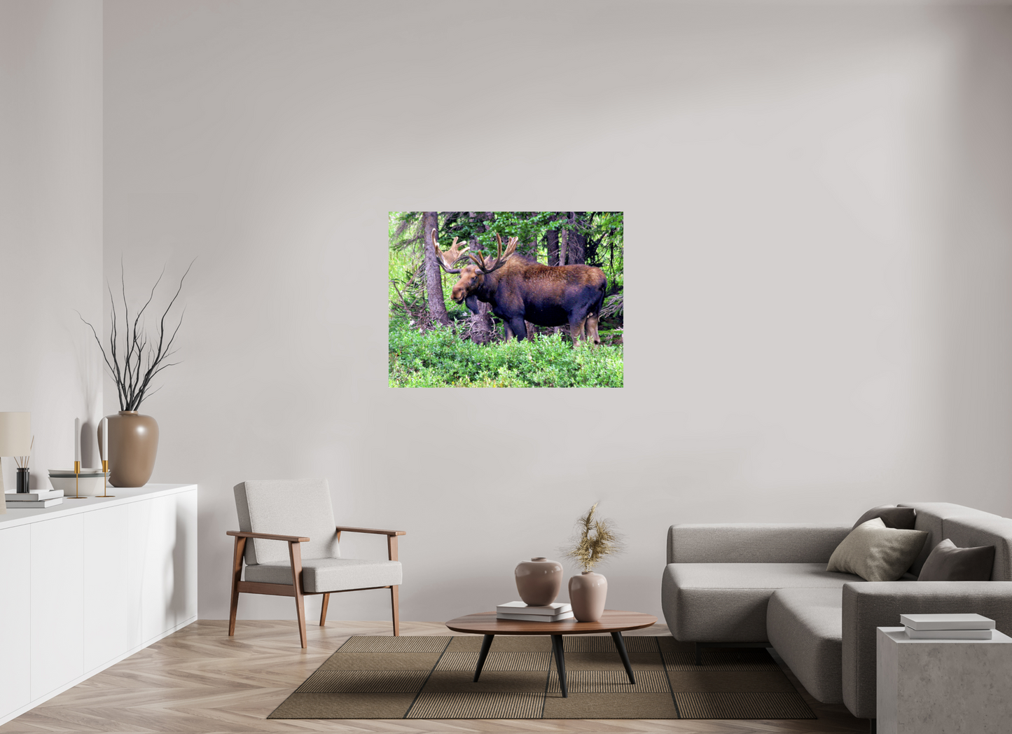 Watchful Moose - Fine Art Wildlife Print