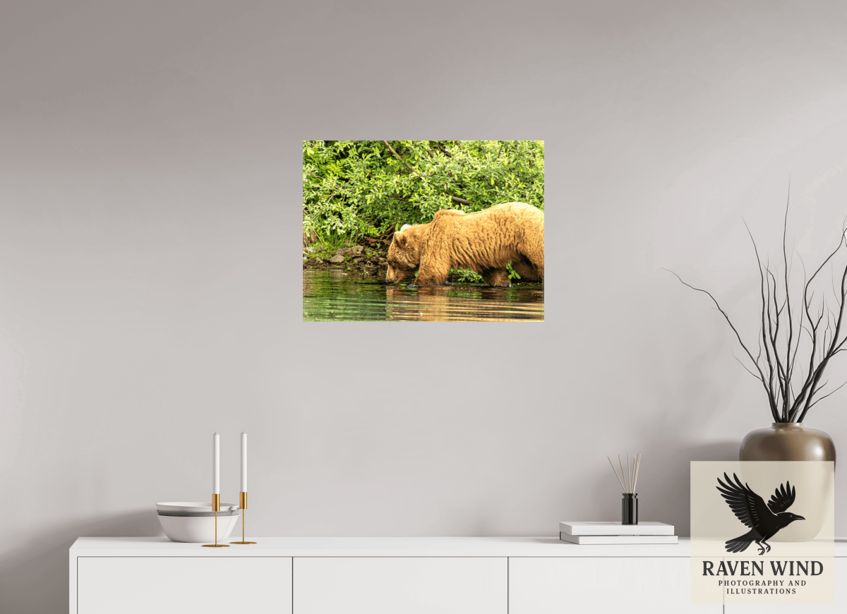 Raven Wind Photography & Illustrations-Fishing Takes Patience Fine Art Wildlife Photography Print -