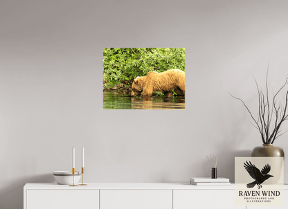 Raven Wind Photography & Illustrations-Fishing Takes Patience Fine Art Wildlife Photography Print -