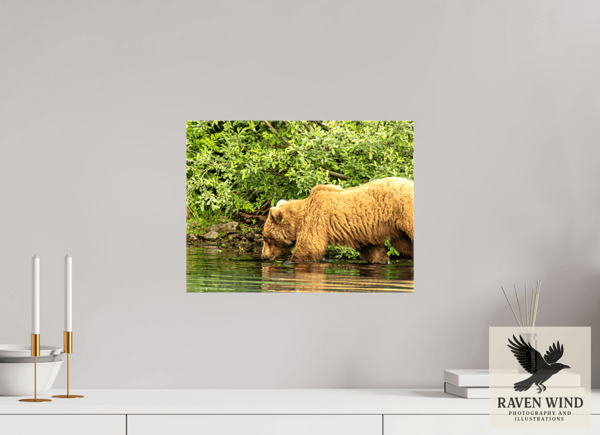 Raven Wind Photography & Illustrations-Fishing Takes Patience Fine Art Wildlife Photography Print -
