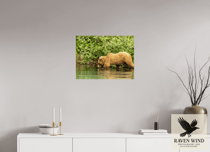 Raven Wind Photography & Illustrations-Fishing Takes Patience Fine Art Wildlife Photography Print -