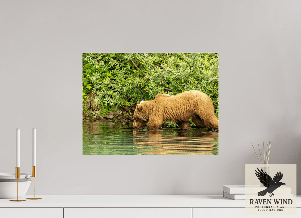 Raven Wind Photography & Illustrations-Fishing Takes Patience Fine Art Wildlife Photography Print -