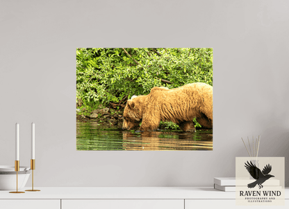 Raven Wind Photography & Illustrations-Fishing Takes Patience Fine Art Wildlife Photography Print -