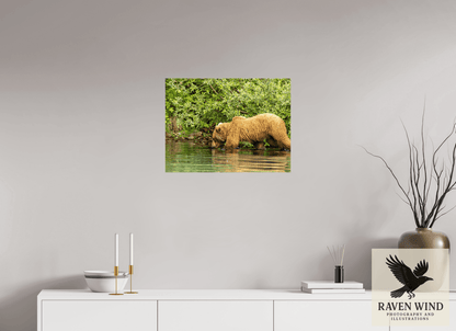 Raven Wind Photography & Illustrations-Fishing Takes Patience Fine Art Wildlife Photography Print -