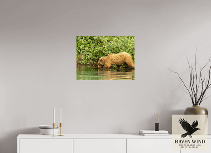 Raven Wind Photography & Illustrations-Fishing Takes Patience Fine Art Wildlife Photography Print -