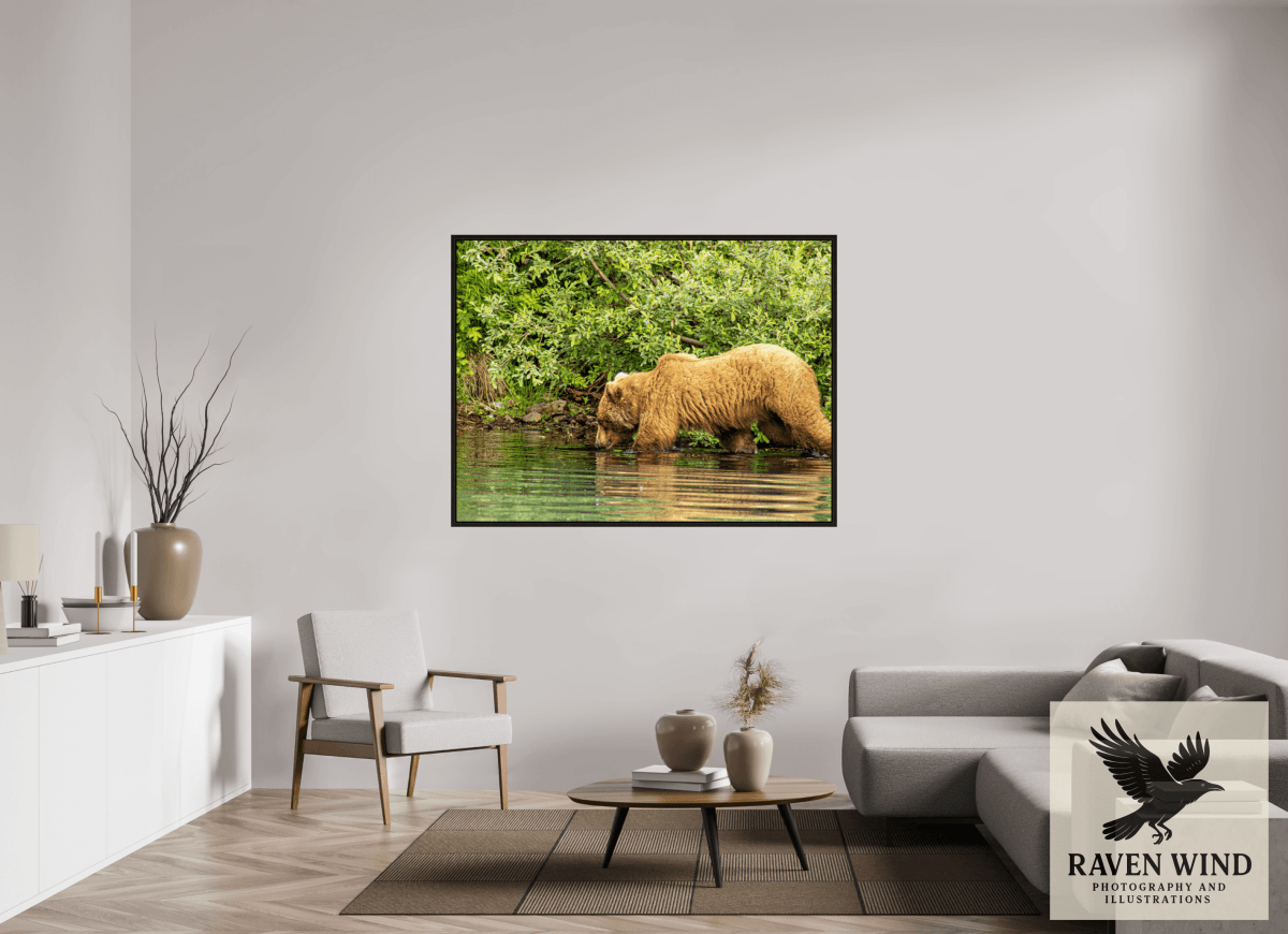 Raven Wind Photography & Illustrations-Fishing Takes Patience Fine Art Wildlife Photography Print -