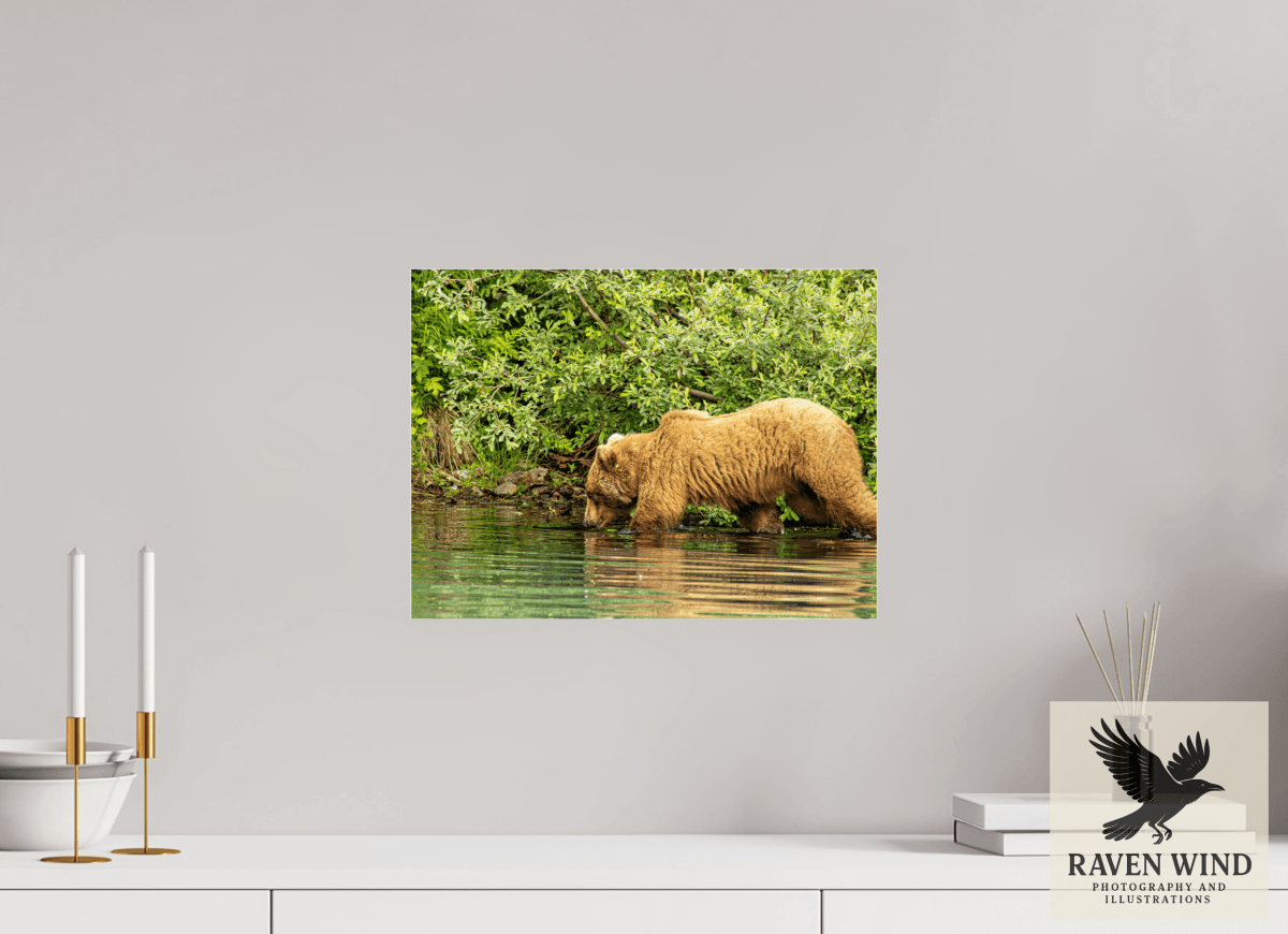Raven Wind Photography & Illustrations-Fishing Takes Patience Fine Art Wildlife Photography Print -