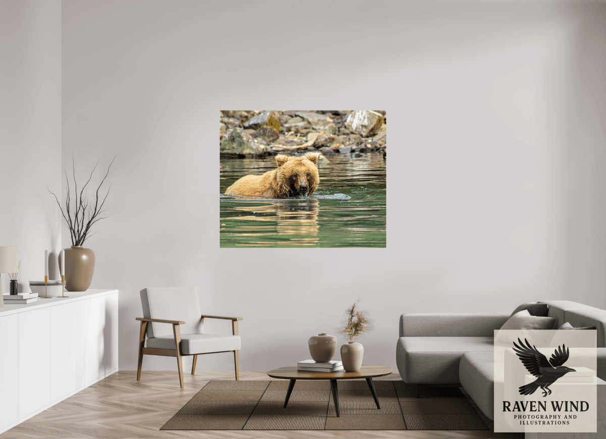 Raven Wind Photography & Illustrations-Fishing the Deep End Fine Art Wildlife Photography Print -