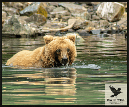 Raven Wind Photography & Illustrations-Fishing the Deep End Fine Art Wildlife Photography Print -