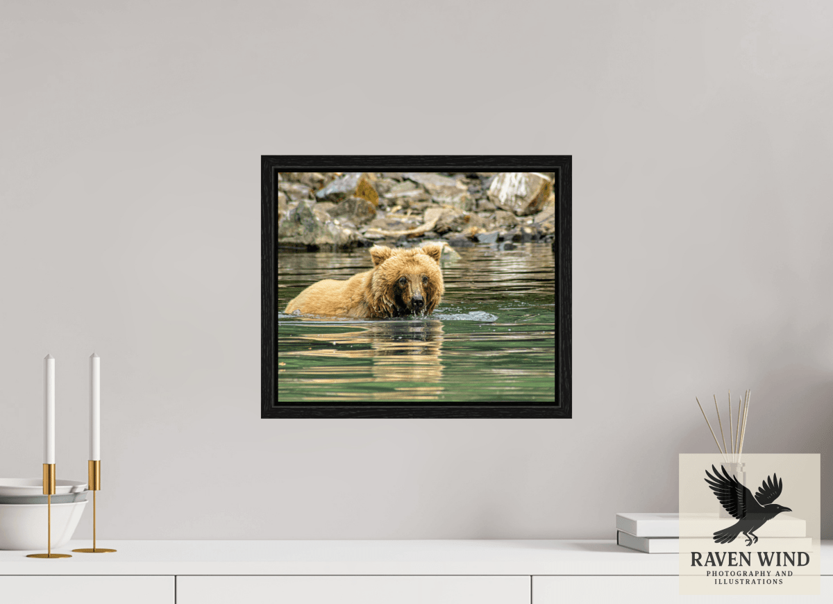 Raven Wind Photography & Illustrations-Fishing the Deep End Fine Art Wildlife Photography Print -
