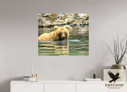 Raven Wind Photography & Illustrations-Fishing the Deep End Fine Art Wildlife Photography Print -
