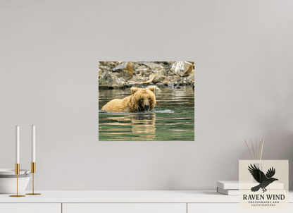 Raven Wind Photography & Illustrations-Fishing the Deep End Fine Art Wildlife Photography Print -