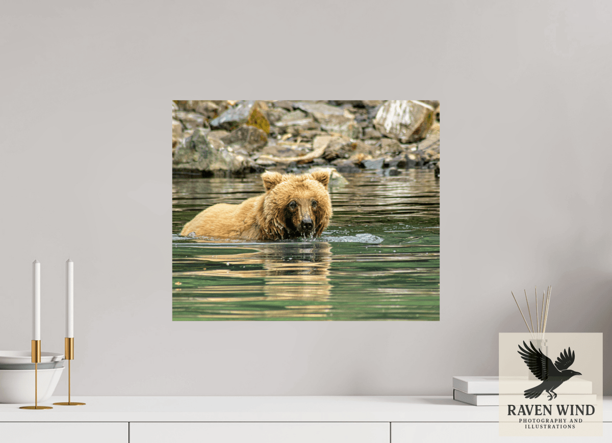 Raven Wind Photography & Illustrations-Fishing the Deep End Fine Art Wildlife Photography Print -