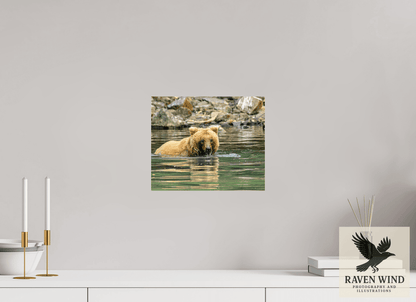 Raven Wind Photography & Illustrations-Fishing the Deep End Fine Art Wildlife Photography Print -