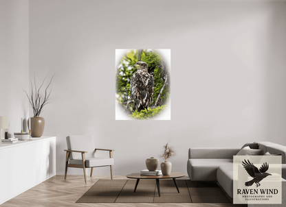 Raven Wind Photography & Illustrations-Forest Watch - Young Eagle Among the Pines Fine Art Wildlife Print -