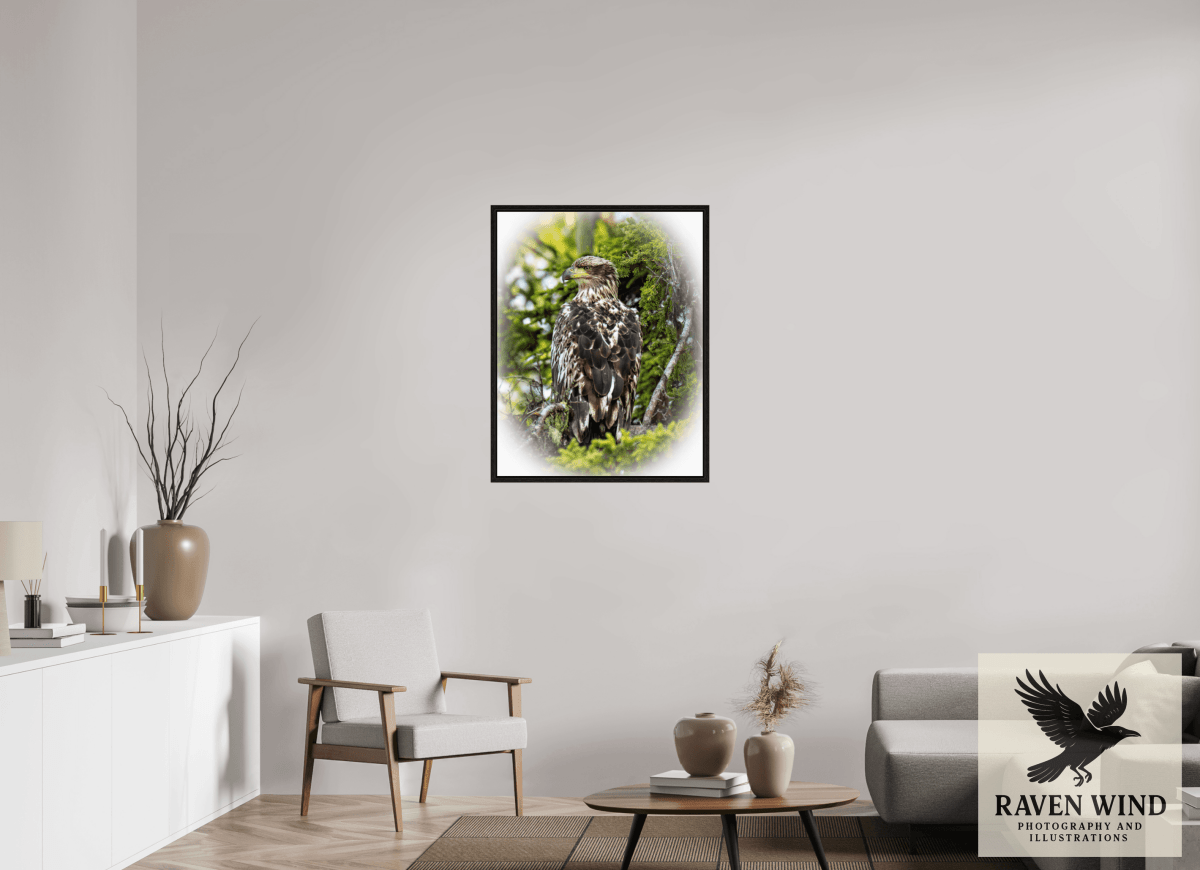 Raven Wind Photography & Illustrations-Forest Watch - Young Eagle Among the Pines Fine Art Wildlife Print -