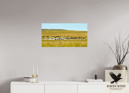 Raven Wind Photography & Illustrations-Gathering at Mule Creek Fine Art Nature Print -
