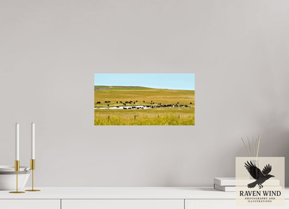 Raven Wind Photography & Illustrations-Gathering at Mule Creek Fine Art Nature Print -