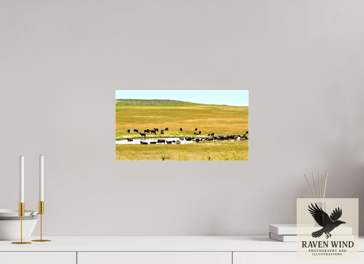 Raven Wind Photography & Illustrations-Gathering at Mule Creek Fine Art Nature Print -