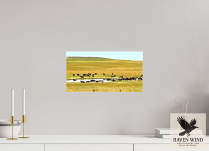 Raven Wind Photography & Illustrations-Gathering at Mule Creek Fine Art Nature Print -