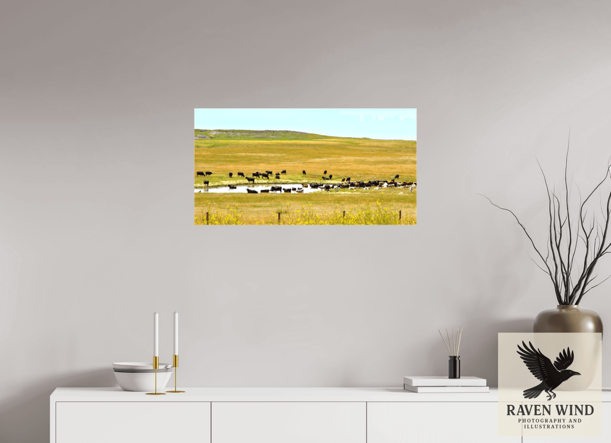 Raven Wind Photography & Illustrations-Gathering at Mule Creek Fine Art Nature Print -