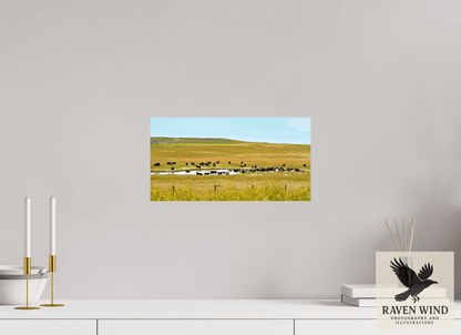 Raven Wind Photography & Illustrations-Gathering at Mule Creek Fine Art Nature Print -