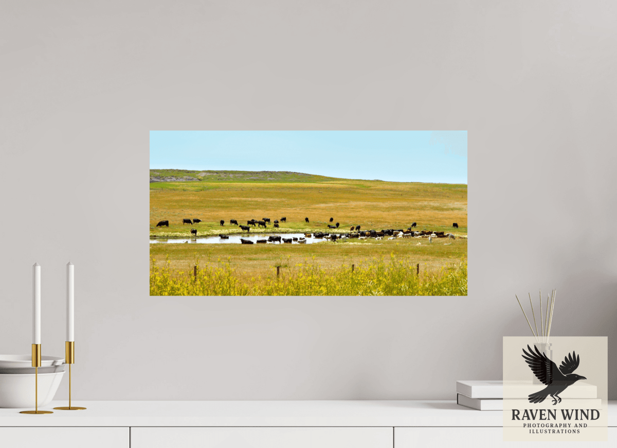 Raven Wind Photography & Illustrations-Gathering at Mule Creek Fine Art Nature Print -