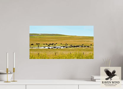 Raven Wind Photography & Illustrations-Gathering at Mule Creek Fine Art Nature Print -