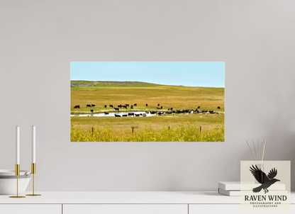 Raven Wind Photography & Illustrations-Gathering at Mule Creek Fine Art Nature Print -