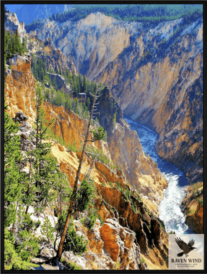 Raven Wind Photography & Illustrations-Grand Canyon of Yellowstone Fine Art Nature Print -