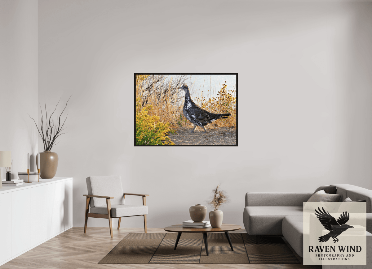 Raven Wind Photography & Illustrations-Grounded Grace - a Wild Grouse Fine Art Wildlife Print -
