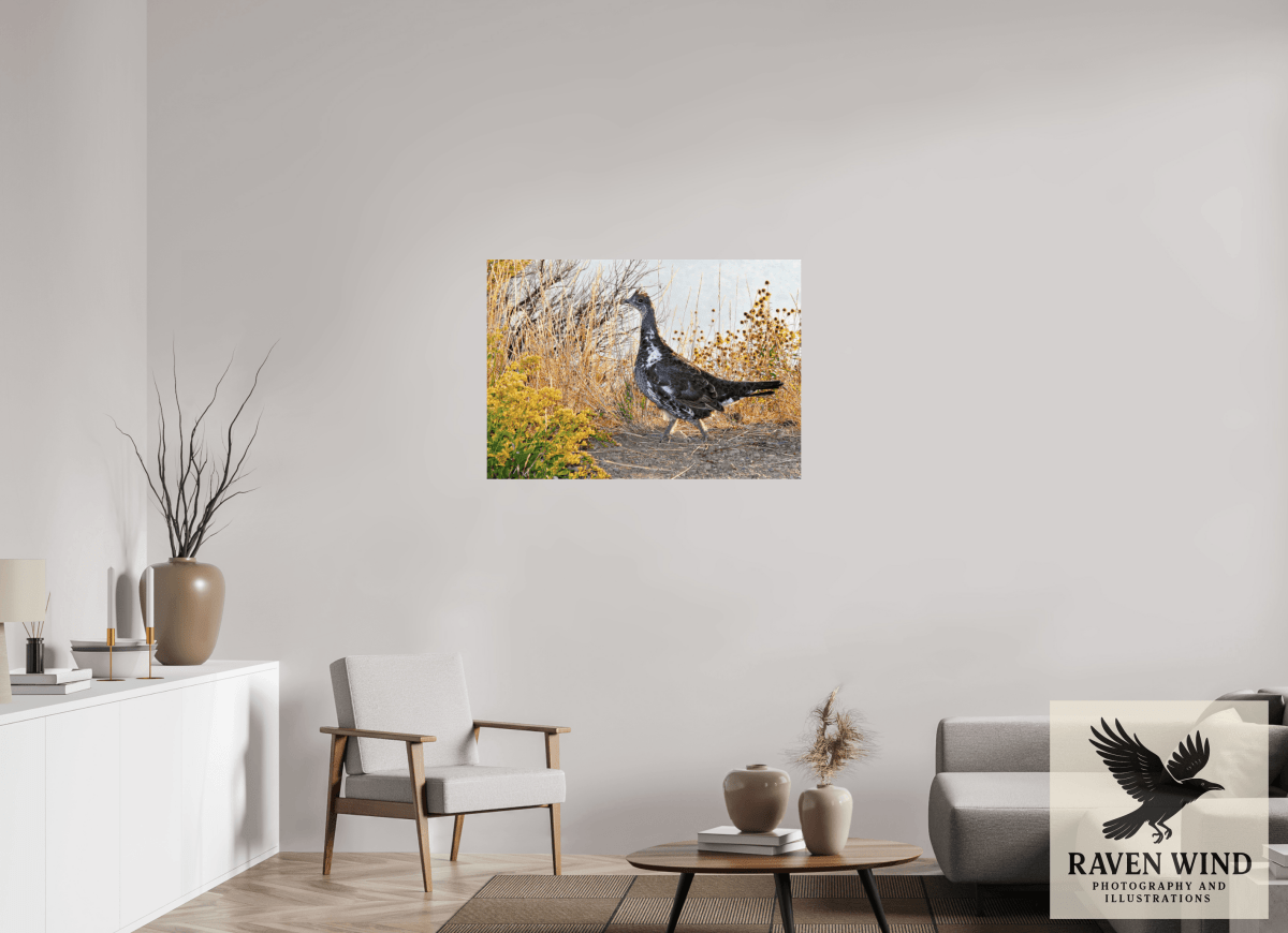 Raven Wind Photography & Illustrations-Grounded Grace - a Wild Grouse Fine Art Wildlife Print -
