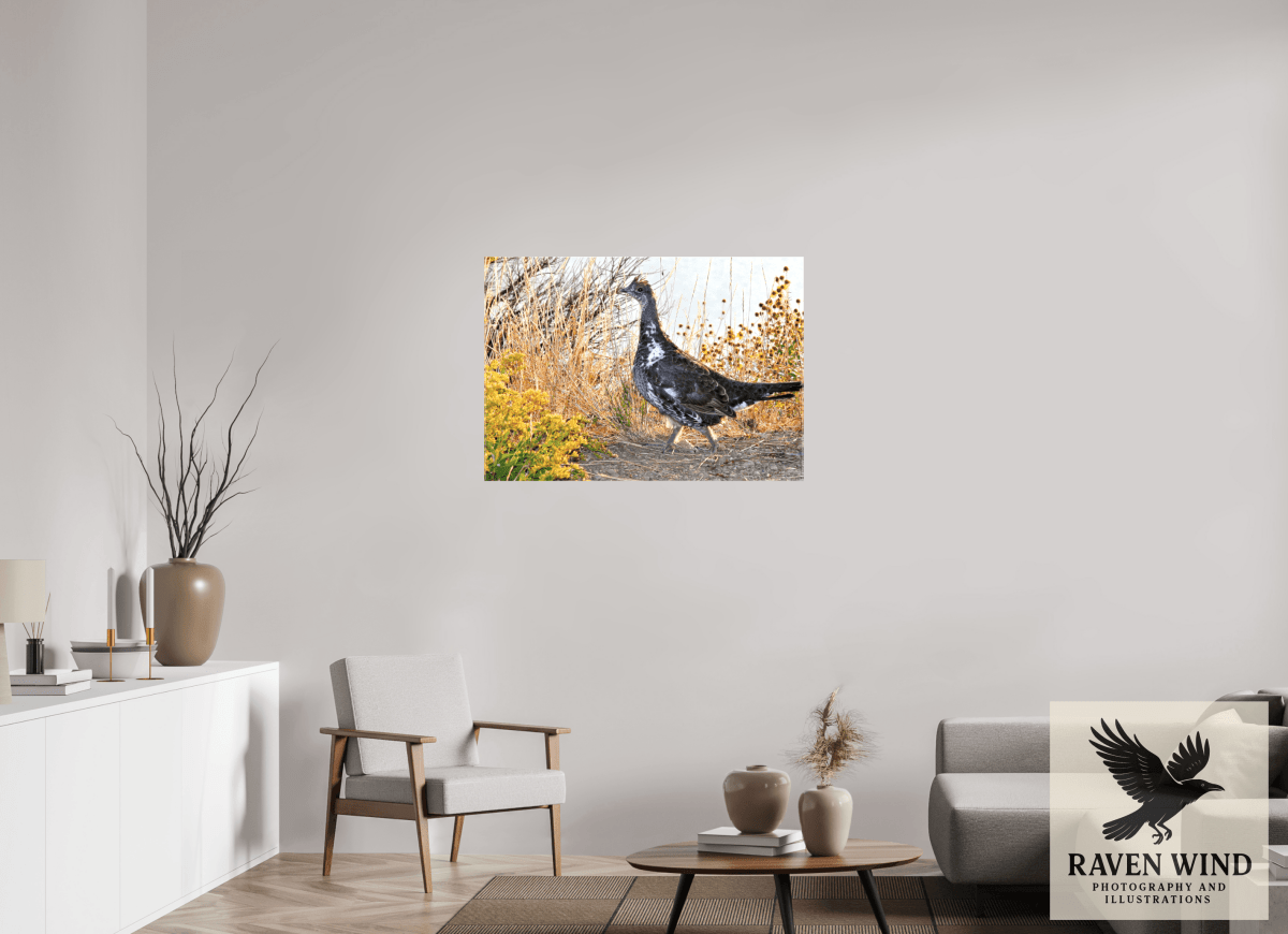 Raven Wind Photography & Illustrations-Grounded Grace - a Wild Grouse Fine Art Wildlife Print -