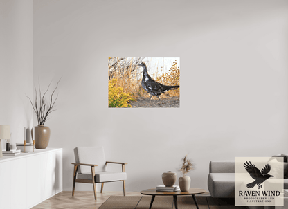 Raven Wind Photography & Illustrations-Grounded Grace - a Wild Grouse Fine Art Wildlife Print -