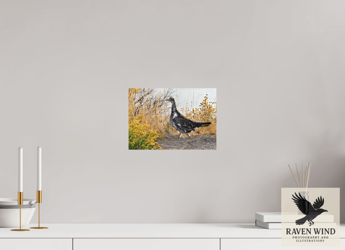 Raven Wind Photography & Illustrations-Grounded Grace - a Wild Grouse Fine Art Wildlife Print -