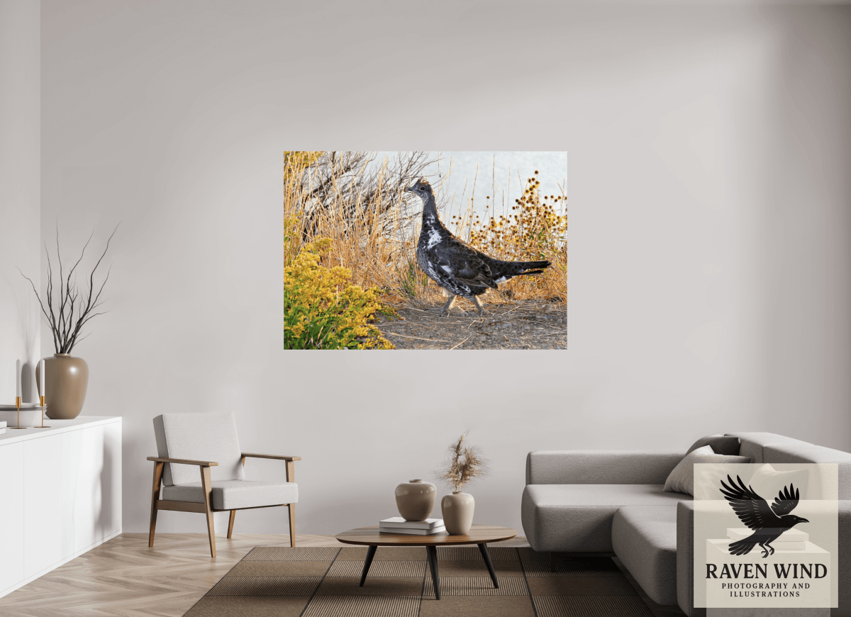 Raven Wind Photography & Illustrations-Grounded Grace - a Wild Grouse Fine Art Wildlife Print -